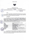 Vista preliminar de documento RDR N°065-2025-21-01-2025