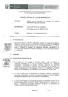 Vista preliminar de documento Sobre propuesta de creación del Registro Nacional de Agresores Sexuales