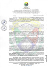 Vista preliminar de documento RCO N° 020-2025