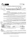 Vista preliminar de documento RDR 10638-2024