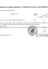 Vista preliminar de documento ANEXO N°06 - APROBACIÓN DE MODIFICACION AL CMN N°0006