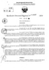 Vista preliminar de documento RDR 10647-2024