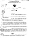 Vista preliminar de documento RDR 10652-2024