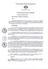 Vista preliminar de documento RA N 01 - Encarg despacho de Alcaldia