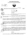 Vista preliminar de documento RDR 10653-2024