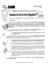 Vista preliminar de documento RDR 10655-2024
