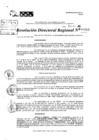 Vista preliminar de documento RDR 10657-2024