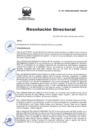 Vista preliminar de documento RD Nº 03-2025-DG-INSM