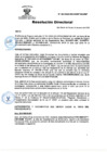 Vista preliminar de documento RD Nº 04-2025-DG-INSM