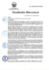 Vista preliminar de documento RD Nº 07-2025-DG-INSM