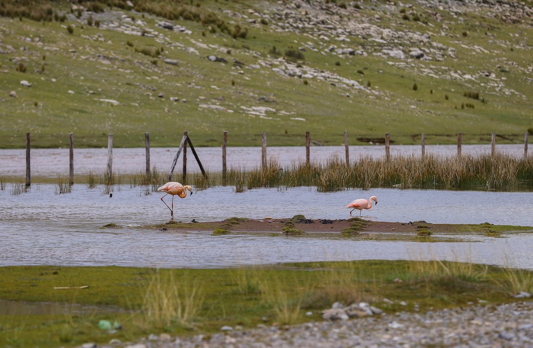 AMSAC impulsa buenas prácticas de gestión ambiental en coloquio anual 2024