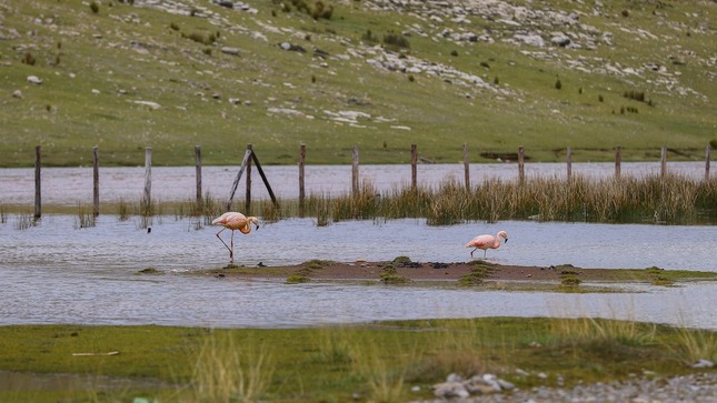 AMSAC impulsa buenas prácticas de gestión ambiental en coloquio anual 2024