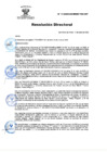 Vista preliminar de documento RD Nº 11-2025-DG-INSM