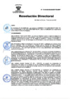 Vista preliminar de documento RD Nº 13-2025-DG-INSM