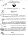 Vista preliminar de documento RDR 10663-2024