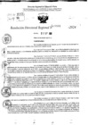 Vista preliminar de documento RDR 10666-2024