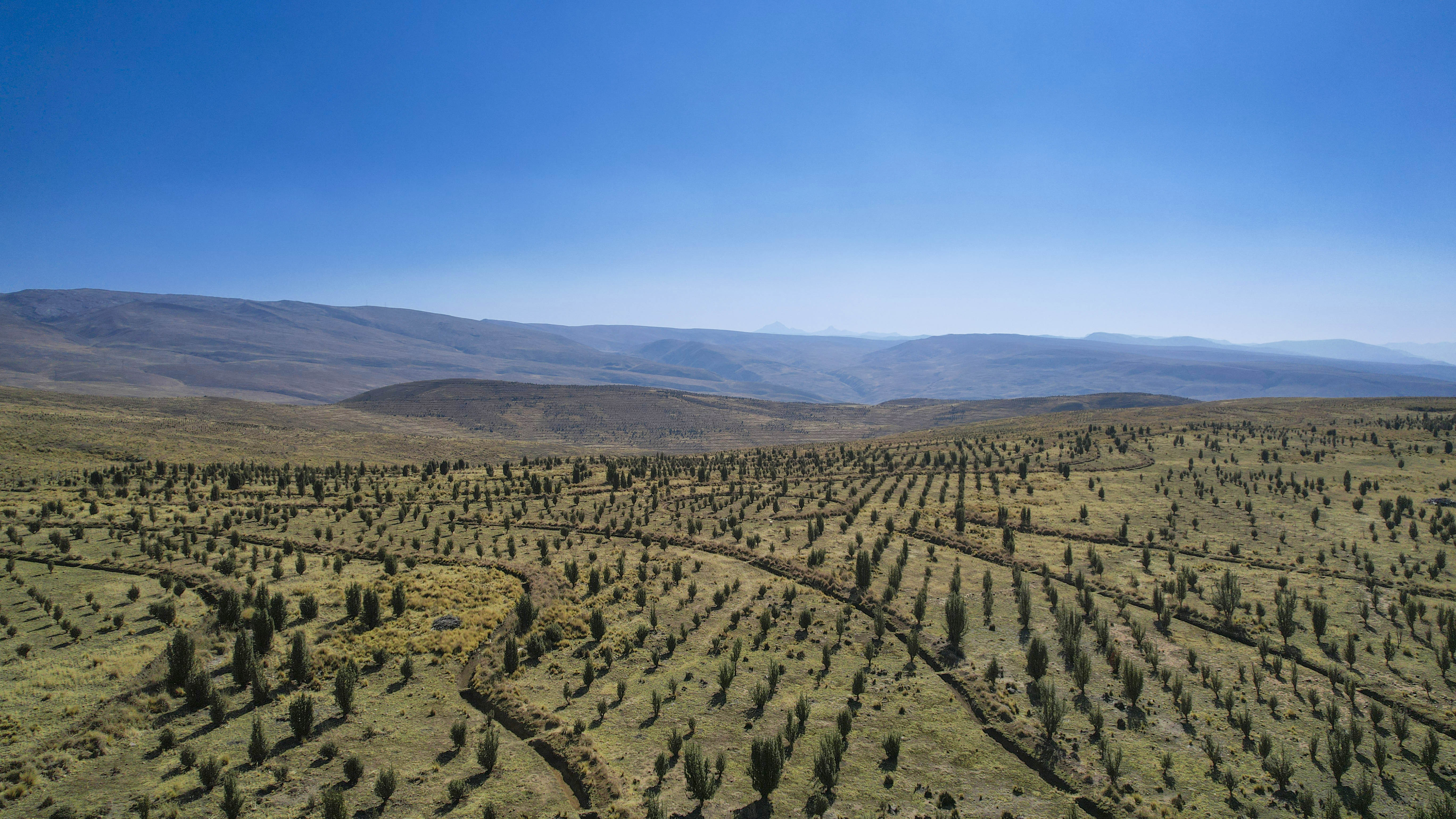 El Fideicomiso Ambiental: Pilar para inversión y recuperación de ecosistemas mineros