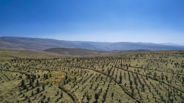 El Fideicomiso Ambiental: Pilar para inversión y recuperación de ecosistemas mineros