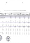 Vista preliminar de documento ANEXO N° 04 . CUADRO MULTIANUAL DE NECESIDADES 2025