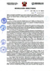 Vista preliminar de documento Resolución Directoral N006 -2025-DRSL-RL-HH-SBS
