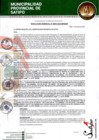 Vista preliminar de documento RESOLUCION GERENCIAL N° 00015-2025-MPS-GM