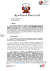 Vista preliminar de documento RD N°050-2025