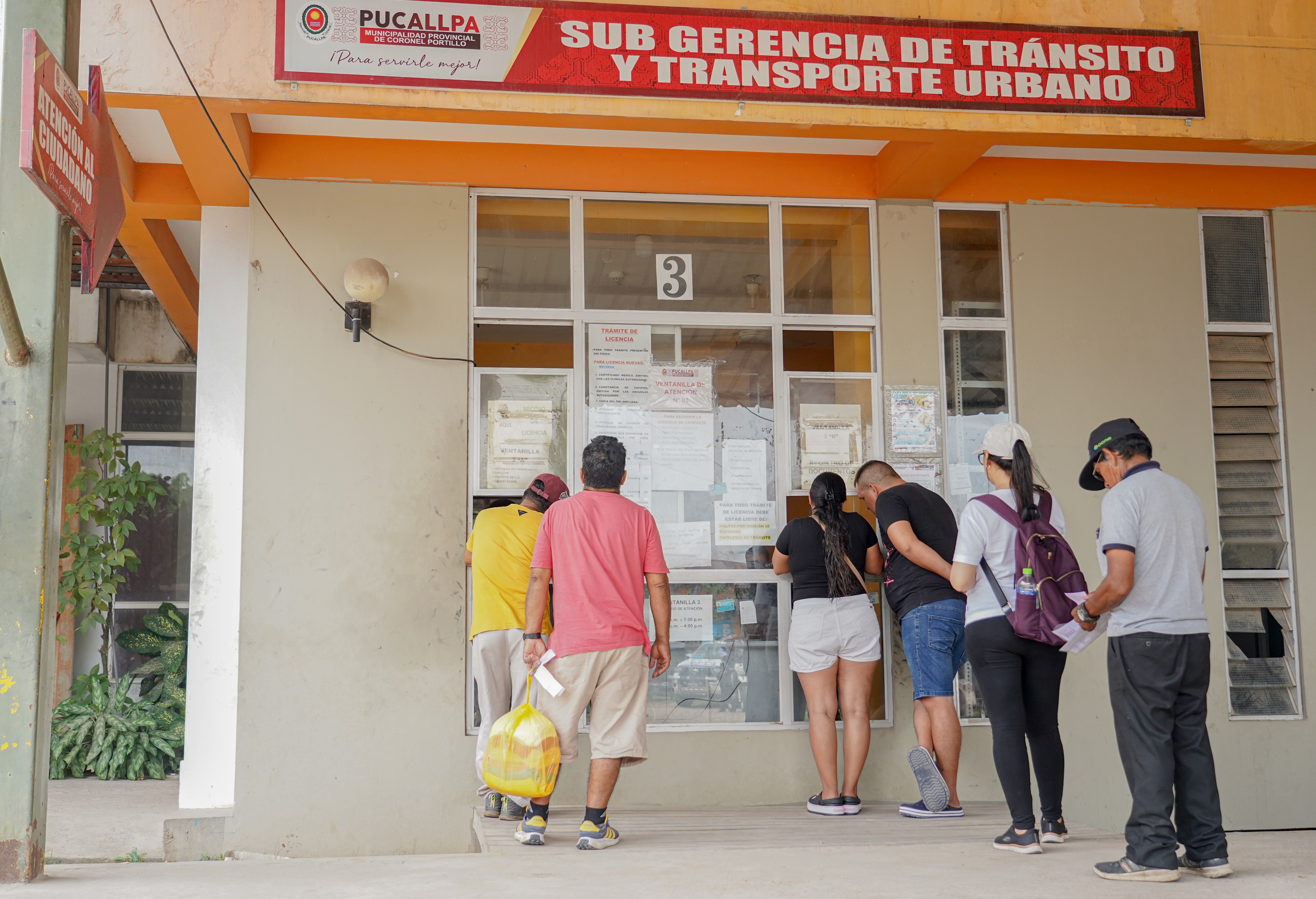 Tramite de licencia de conducir 2 