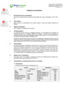 Vista preliminar de documento TDR