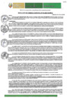 Vista preliminar de documento RGM-034-2025-GM-MPLC