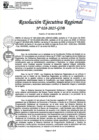Vista preliminar de documento RER 028-2025-GOB