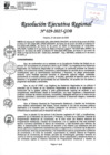 Vista preliminar de documento RER 029-2025-GOB