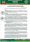 Vista preliminar de documento RESOLUCION DE APROBACION DE BASES CAS N°001 - 2025