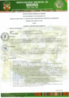 Vista preliminar de documento BASES CAS N° 001-2025