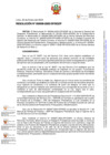 Vista preliminar de documento Resolución de Secretaría General N.° 000008-2025-DP/SGDP