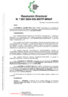 Vista preliminar de documento RD597-_1