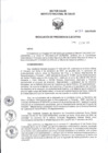 Vista preliminar de documento RPE Nº 007-2025