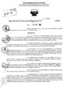 Vista preliminar de documento RDR 10679-2024