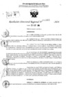 Vista preliminar de documento RDR 10683-2024