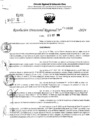 Vista preliminar de documento RDR 10686-2024