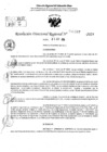 Vista preliminar de documento RDR 10687-2024