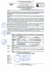 Vista preliminar de documento RD Nº 009 - MODIFICAR LA CONFORMACION DEL SUB CAFAE DEL PERIODO 2024-2025