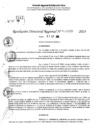 Vista preliminar de documento RDR 10689-2024