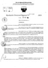 Vista preliminar de documento RDR 10690-2024