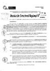 Vista preliminar de documento RDR 10693-2024