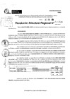Vista preliminar de documento RDR 10700-2024