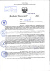 Vista preliminar de documento R.D N° 026-2025