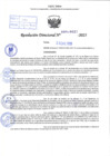 Vista preliminar de documento R.D N° 027-2025