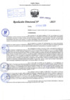 Vista preliminar de documento R.D N° 028-2025