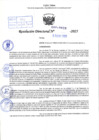 Vista preliminar de documento R.D N° 029-2025