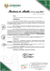Vista preliminar de documento Resolucion de Acaldia 016-2025-MPA